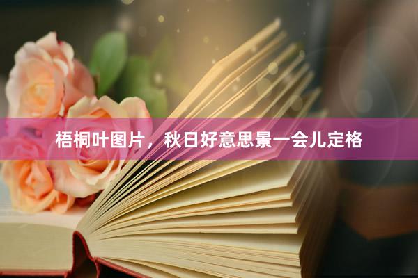 梧桐叶图片，秋日好意思景一会儿定格
