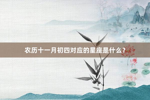 农历十一月初四对应的星座是什么？